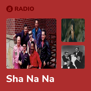 Sha Na Na Radio