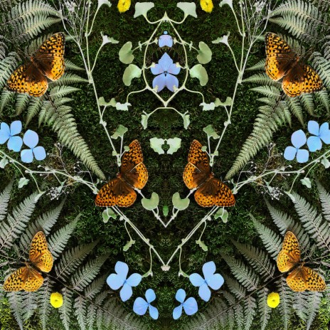 nina cover art