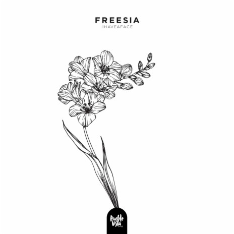 Freesia