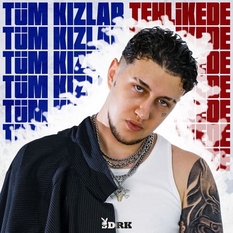 TÜM KIZLAR TEHLİKEDE cover art