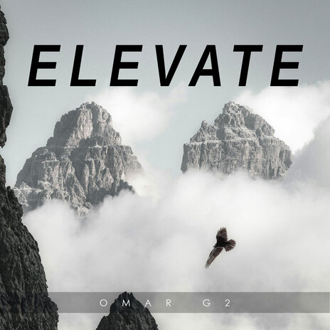 Elevate (Radio Edit) cover art