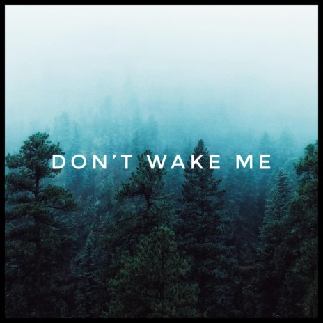 Don't Wake Me cover art