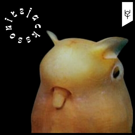 Dr. Pepper Cream Soda Zero Sugar (Dumbo Octopus Mix)