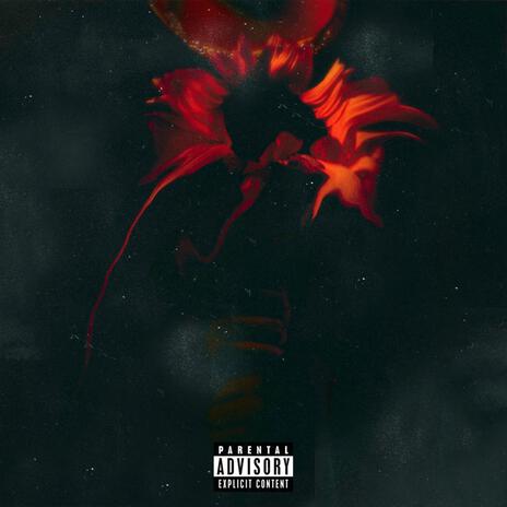 Bae cover art
