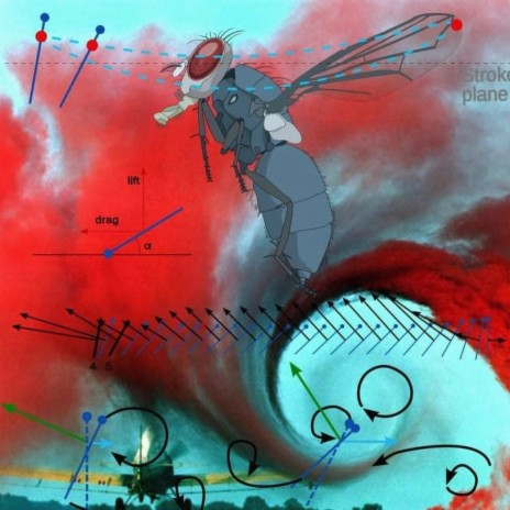 Anticitizen One cover art