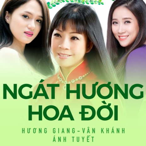Đất Quê Ta Mênh Mông cover art