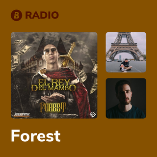 Forest Radio