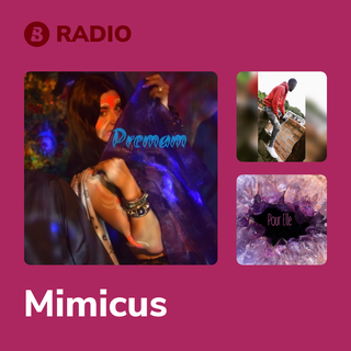 Mimicus Radio