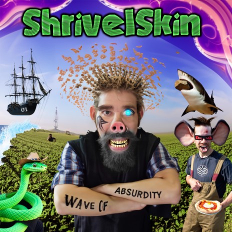 Stir-Fried Stones cover art