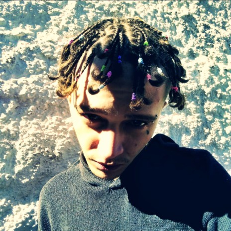 Planta cover art