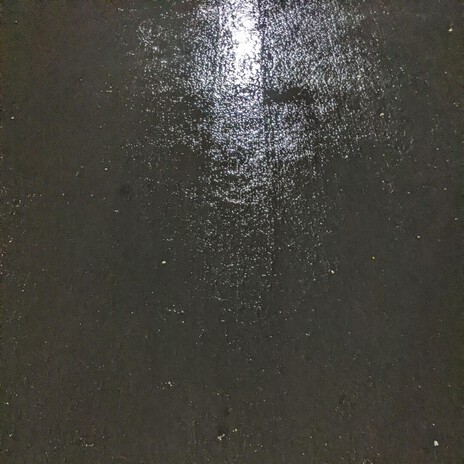 Roadkill