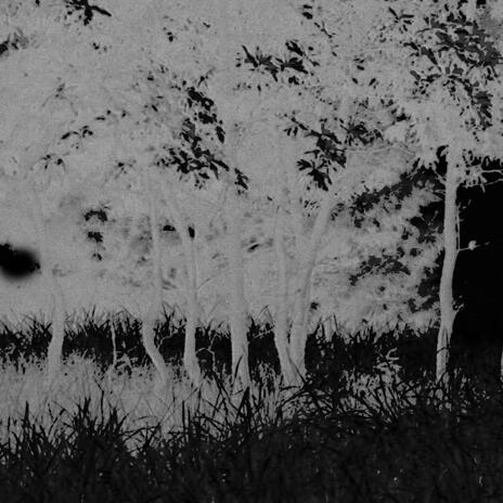 SEASONS