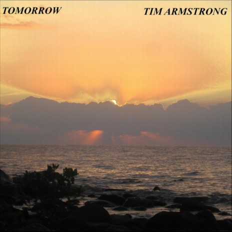 Your Steeple's Will Rise (Christchurch Earthquake Song) cover art