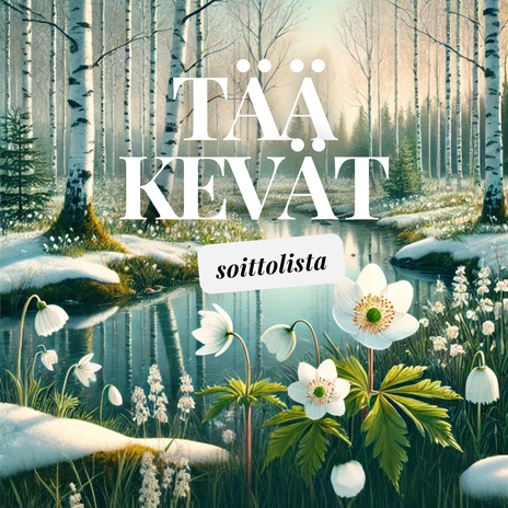 Omilla jaloilla cover art