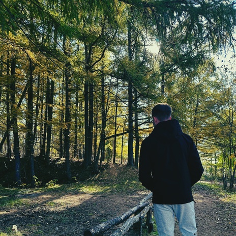Вера cover art