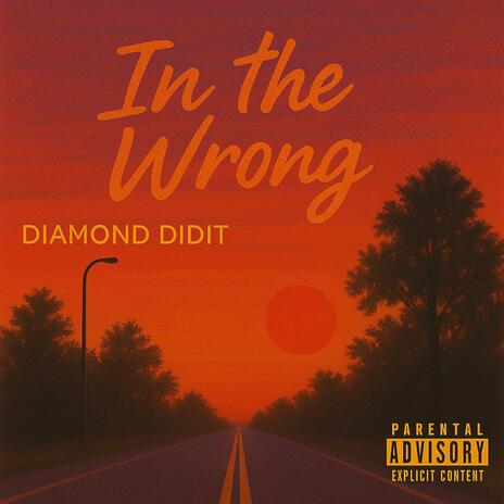 In the Wrong cover art