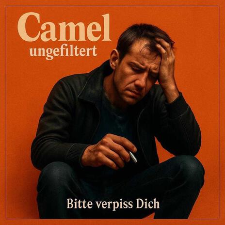 Bitte verpiss Dich cover art
