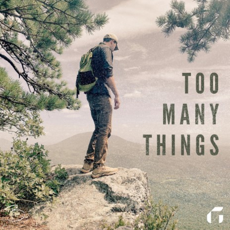 Too Many Things cover art