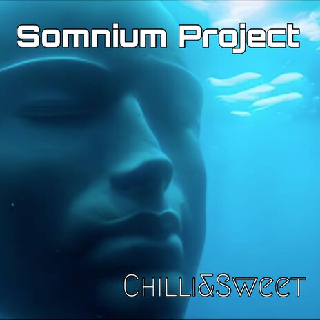 Somnium Project (Acoustic) cover art