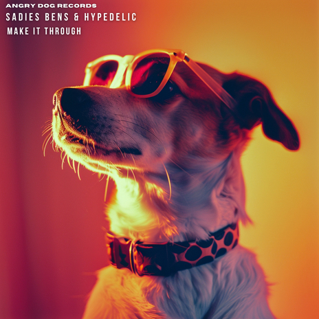 Make It Through ft. Hypedelic