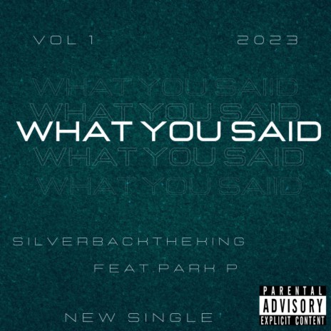 What You Said ft. Park P cover art