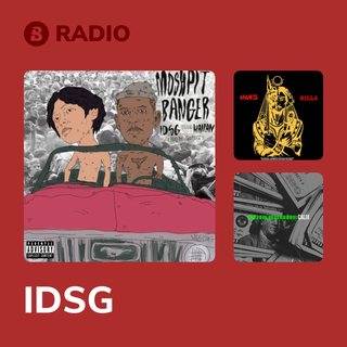 IDSG Radio