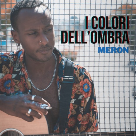 I colori dell'ombra cover art