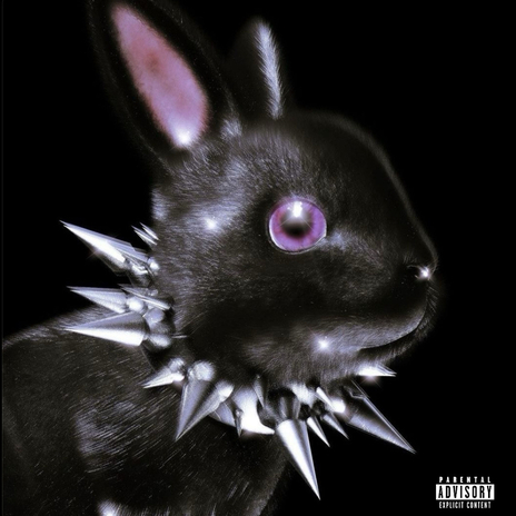 Brand New Burkin cover art