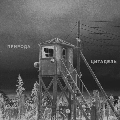 До пизды cover art