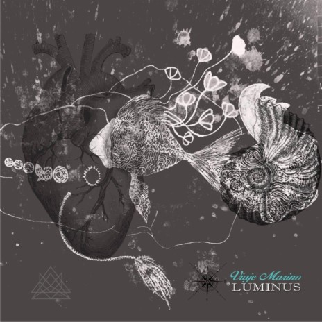 Xomali cover art
