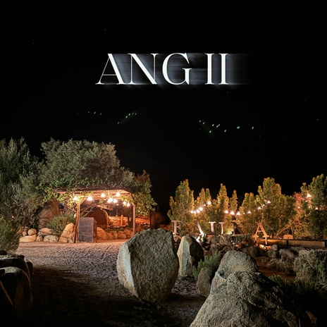 ANG II cover art