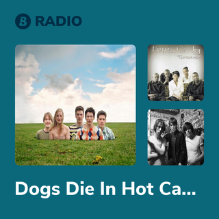 Dogs Die In Hot Cars Radio