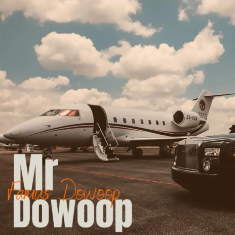 Mr. Dowoop cover art