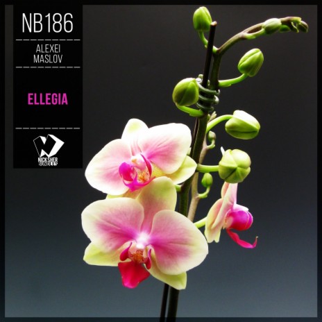 Ellegia (Original Mix)