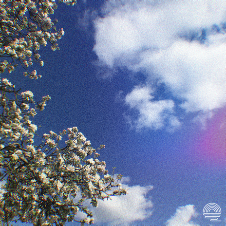 IN BLOOM ft. Flow State Records cover art
