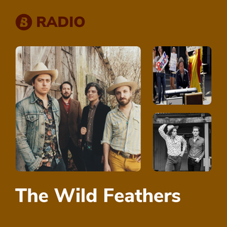 The Wild Feathers Radio