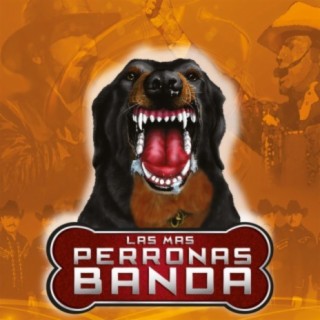 DCO
