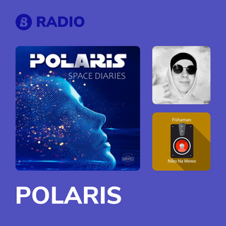 POLARIS Radio