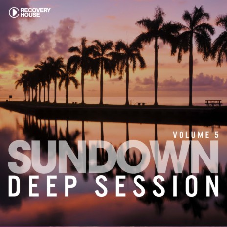 Interfunk Music (Original Mix) ft. Benjamin Diamond cover art