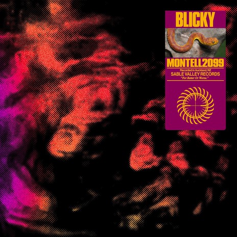 Blicky cover art