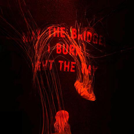 MAY THE BRIDGES I BURN LIGHT THE WAY