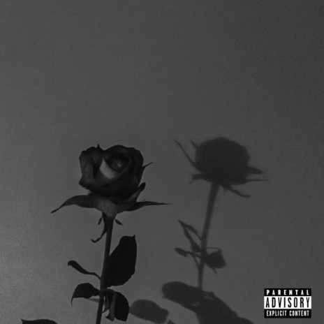 Bl@ck Ro$e cover art