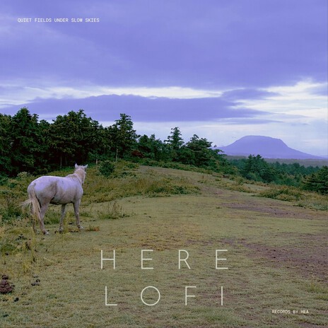 Footsteps in the Wet Field cover art