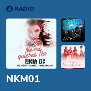 NKM01 Radio