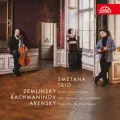 Piano Trio in D Minor, Op. 3: No. 3, Allegro