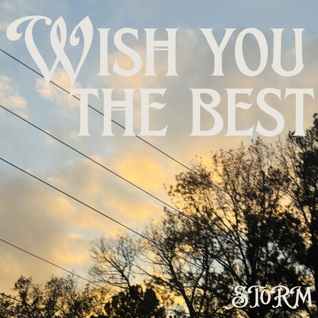 Wish You The Best cover art