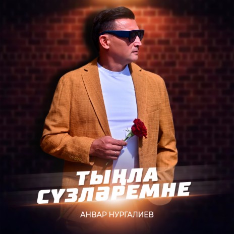 Тынла сузлэремне cover art