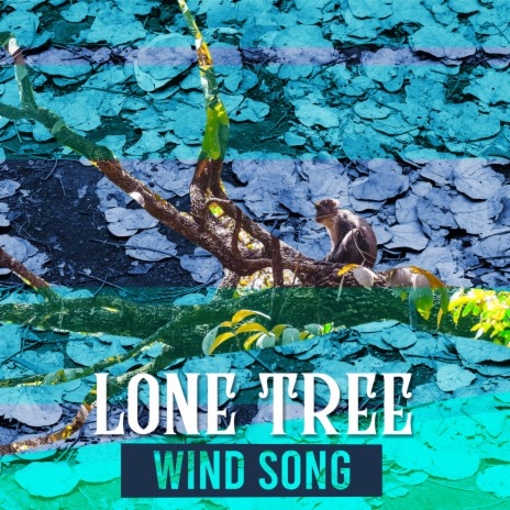 Wind Song cover art