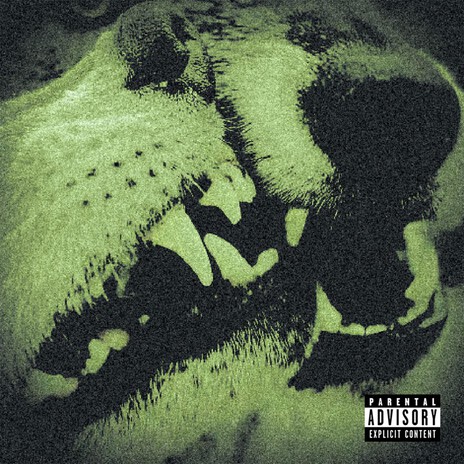 Two Wolves cover art