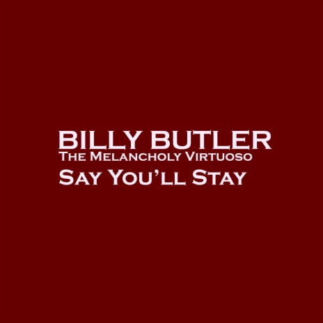 Say You'll Stay ft. Aenu.Lög cover art